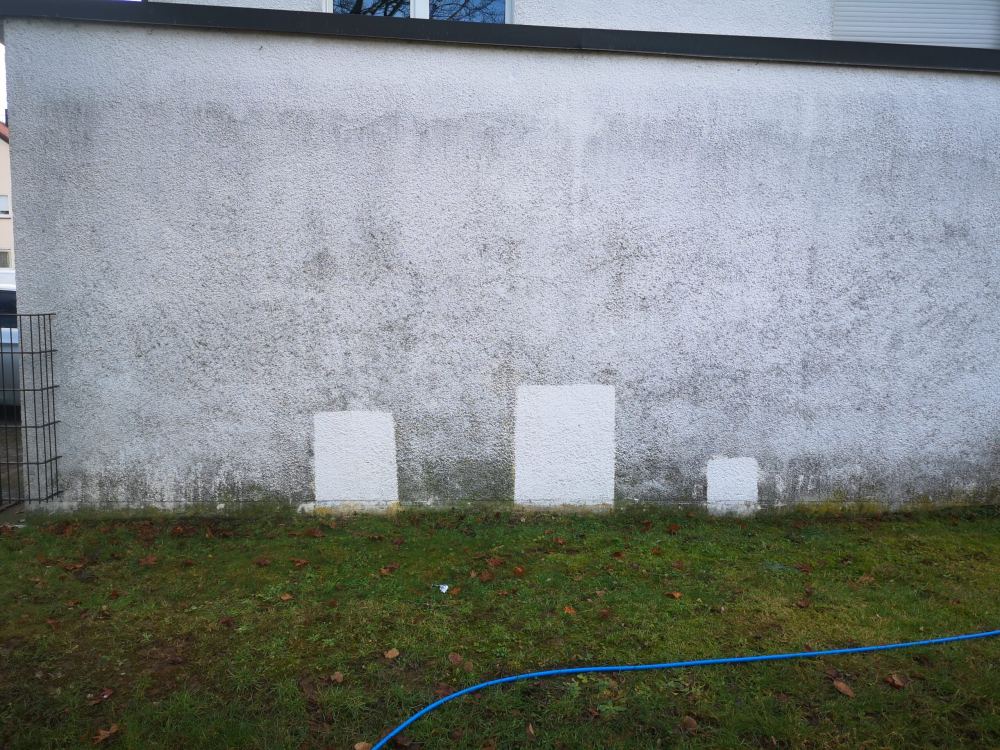 Probefläche